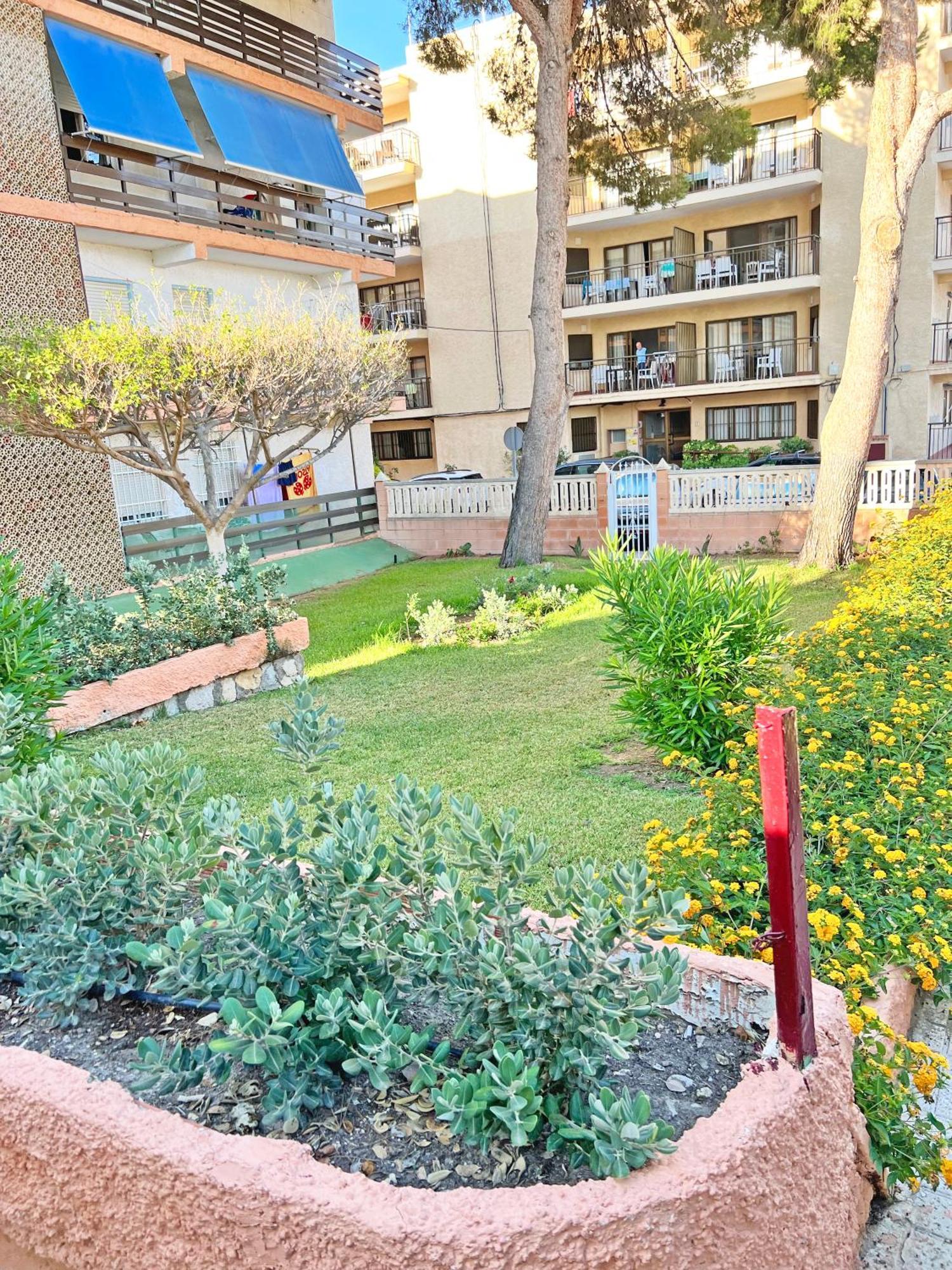 Coqueto Con Piscina, Nuevo A 50M Del Mar, Parking Gratis Appartement El Campello Buitenkant foto