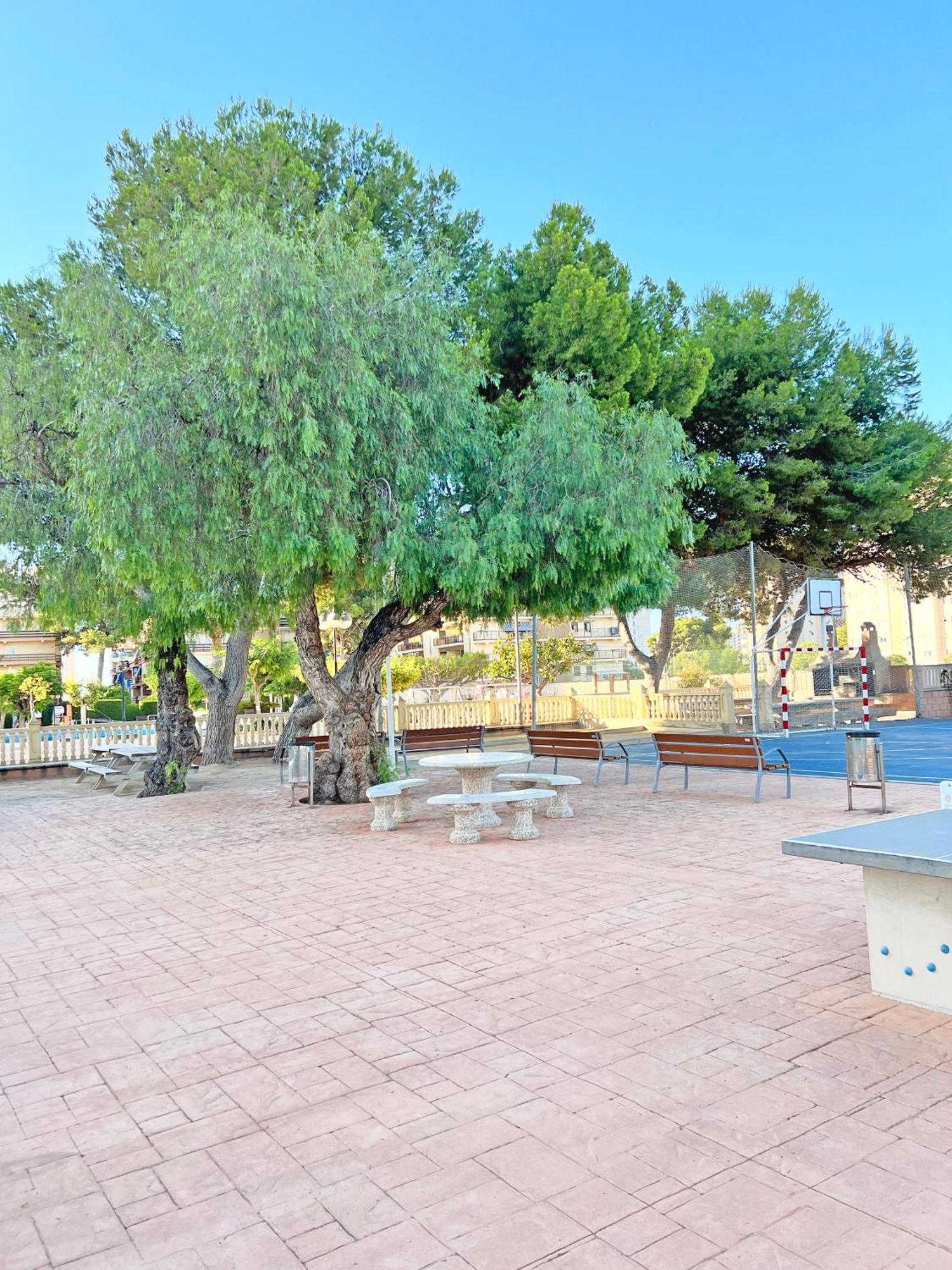 Coqueto Con Piscina, Nuevo A 50M Del Mar, Parking Gratis Appartement El Campello Buitenkant foto